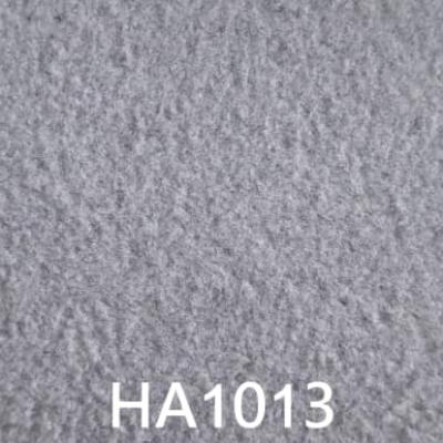 HA1013