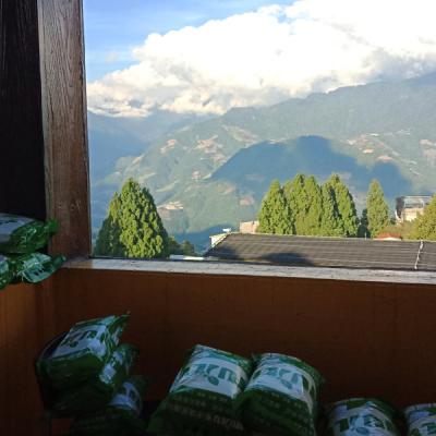 10906南投清境民宿