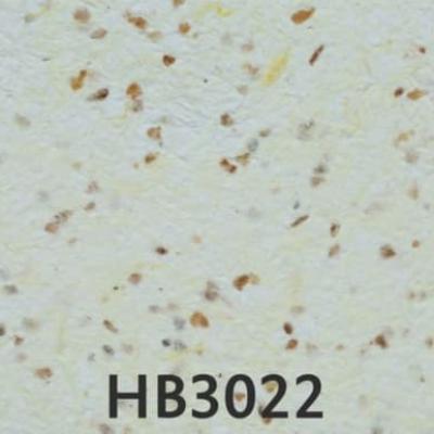 Hb3022