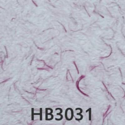 Hb3031