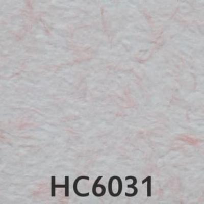 Hc6031