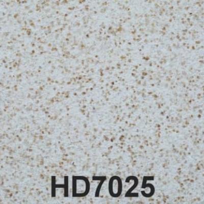 Hd7025