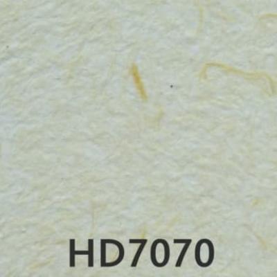 Hd7070