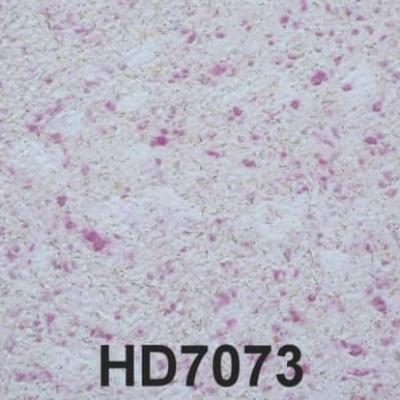 Hd7073